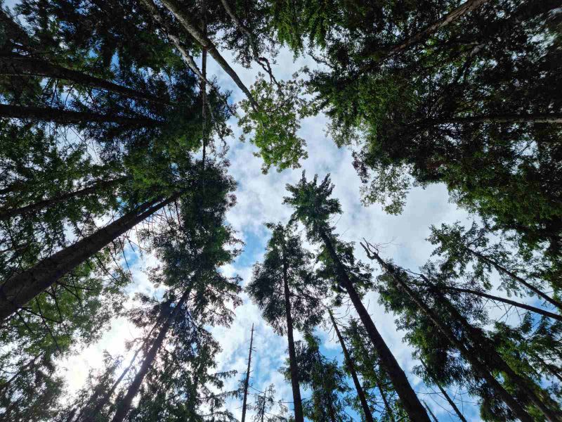 Головна Головна